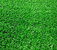 Газон искусственный Grass Komfort ворс 7мм (шир. 4м) (Люберцы)