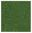 Линолеум IVC NEO Grass 25 (3м) травка (Бельгия)