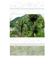 Комплект панелей стеновых (6шт) 06230 Панно Тайна природы 2700х250мм (Panda)